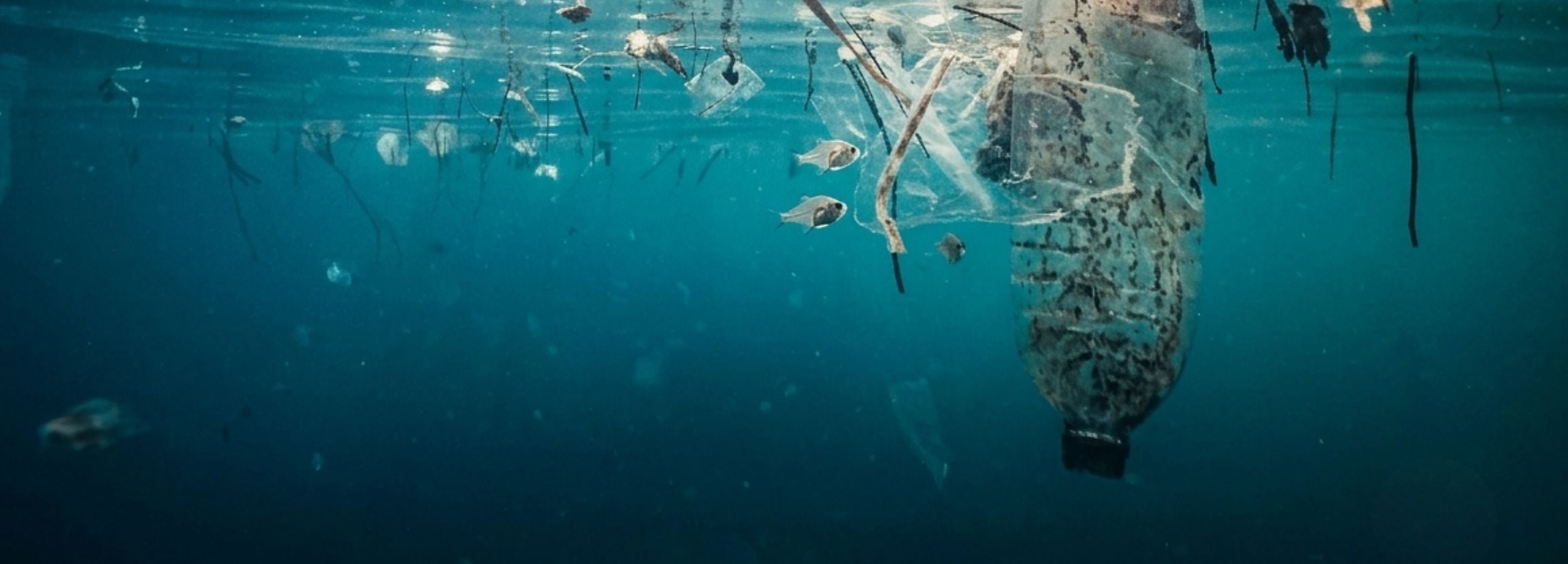 plastico reciclado usado para fabricar gafas deportivas